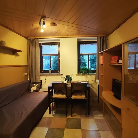 Ansimali 2 - Mit Wohn- Und Schlafraum, Integrierter Kuechenzeile, Separater Dusche Und Wc - Ideal Fuer Alleinreisende Und Monteure Am Spiegelwald Apartment *