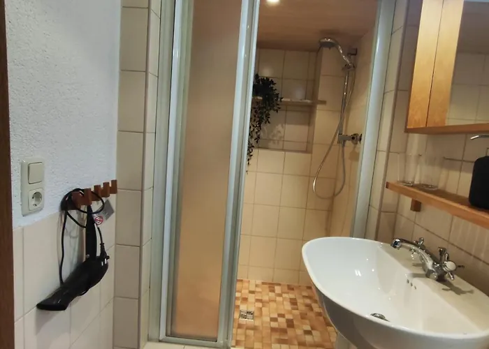 Ansimali 2 - Mit Wohn- Und Schlafraum, Integrierter Kuechenzeile, Separater Dusche Und Wc - Ideal Fuer Alleinreisende Und Monteure Am Spiegelwald