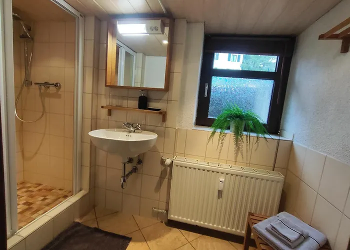 Ansimali 2 - Mit Wohn- Und Schlafraum, Integrierter Kuechenzeile, Separater Dusche Und Wc - Ideal Fuer Alleinreisende Und Monteure Am Spiegelwald * Beierfeld