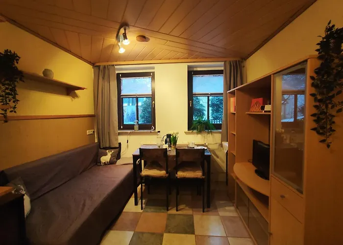 Ansimali 2 - Mit Wohn- Und Schlafraum, Integrierter Kuechenzeile, Separater Dusche Und Wc - Ideal Fuer Alleinreisende Und Monteure Am Spiegelwald شقة *